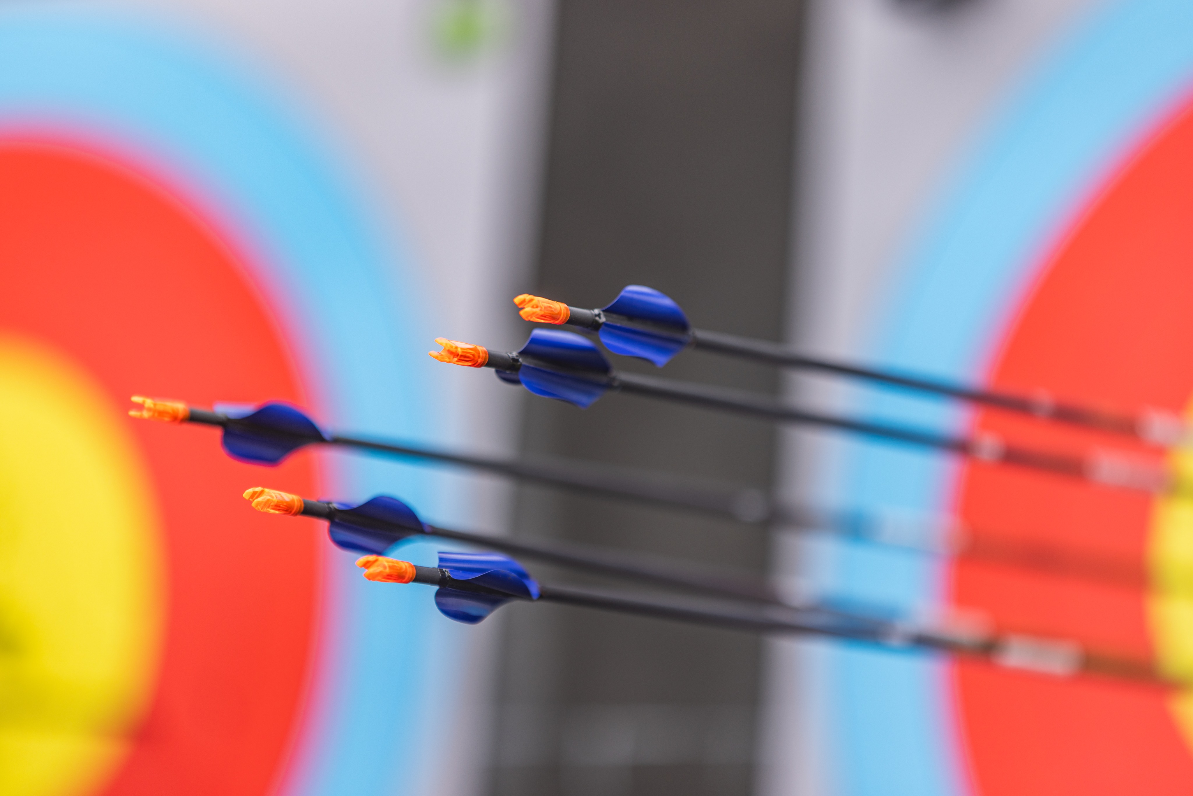 Constitution & ByLaws National Field Archery Association USA